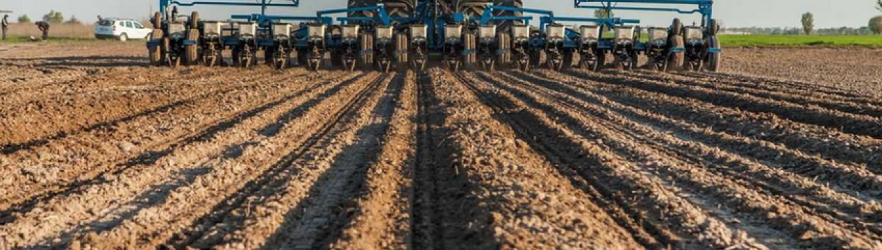 Фермерське рабство — реальність для окупованого Херсона