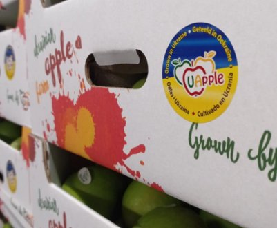 Дніпровські яблука знову будуть продааватися в Європі