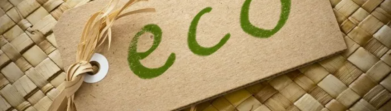 Війна експорту не перешкода: Україна вже відправила на експорт 12 тонн органічної продукції