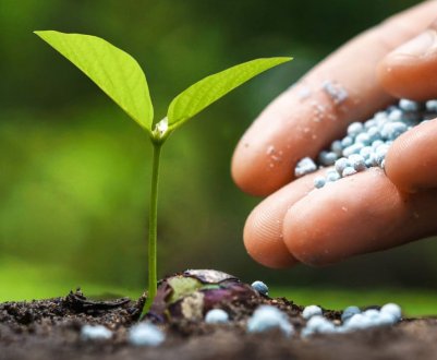 В Миколаївській області рашисти знищили понад 600 кг мінеральних добрив