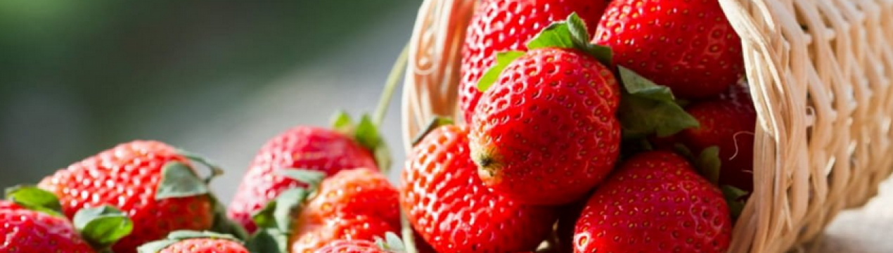 Українцям доводиться знижувати ціни на вирощену садову полуницю