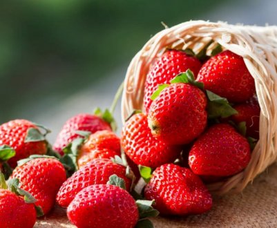 Українцям доводиться знижувати ціни на вирощену садову полуницю