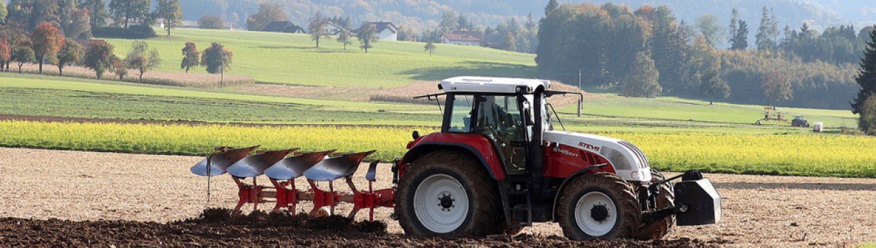 Посівна кампанія в Україні суттєво відстає від темпів минулорічної