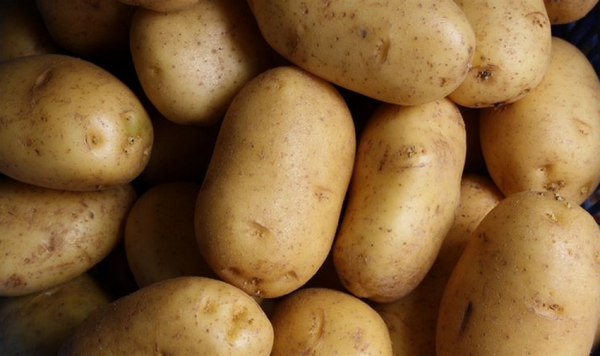 В Херсонской области старый и молодой картофель продают в одну цену