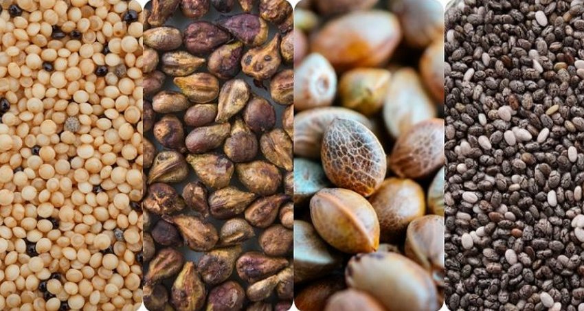 Семена растений Семена растений