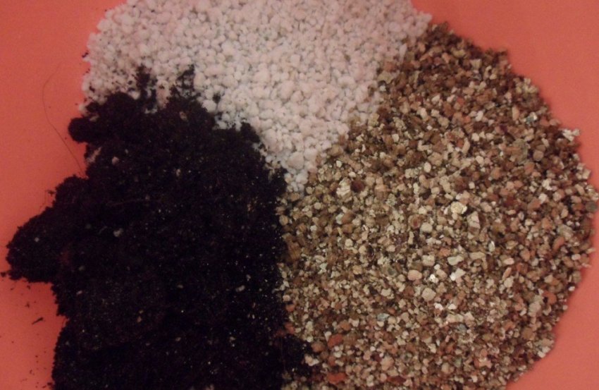 Грунт для фіалок