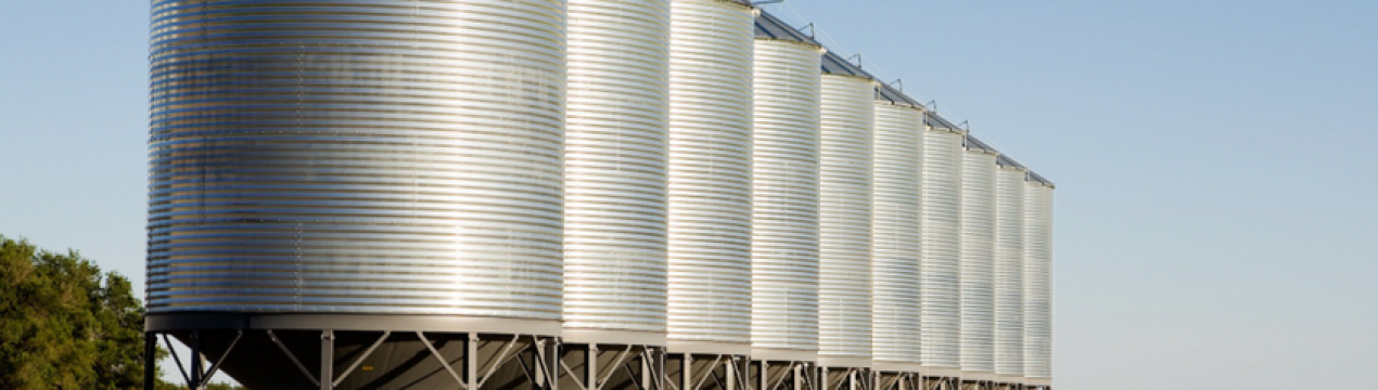 В вересні ситуація зі зберіганням українського зерна буде катастрофічною