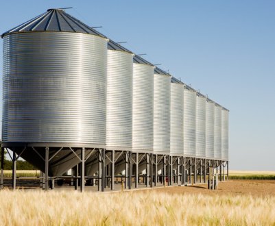 В вересні ситуація зі зберіганням українського зерна буде катастрофічною