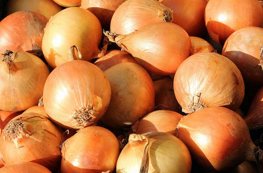 Ціни на цибулю