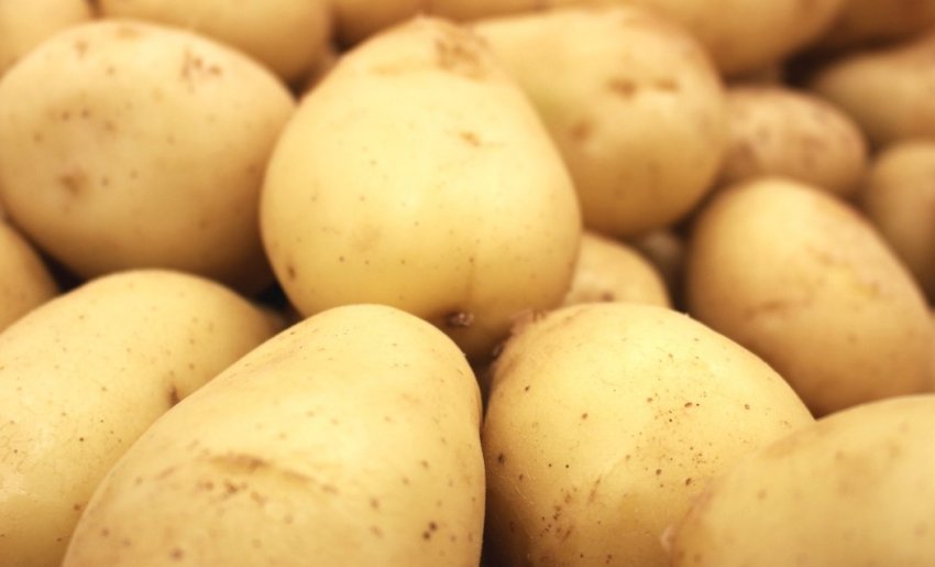 Молода картопля Молода картопля