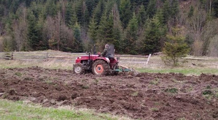 Кормові поля Кормові поля