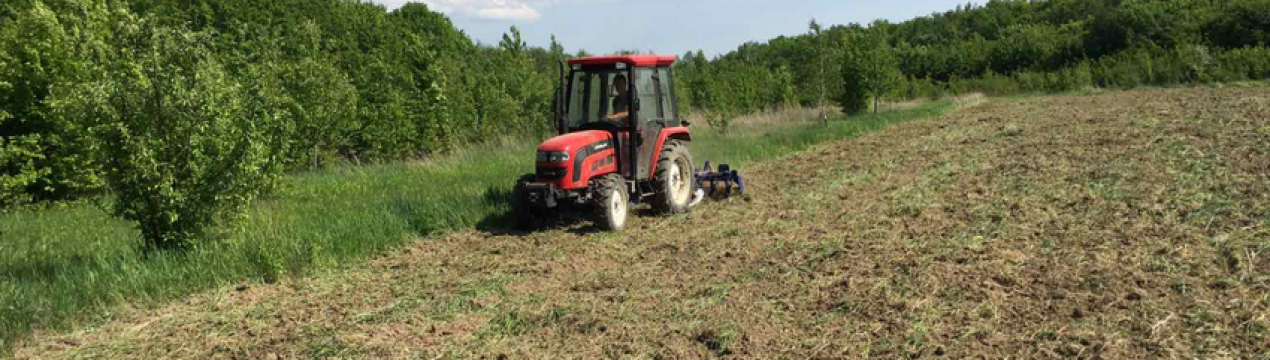 На Буковині створені кормові поля
