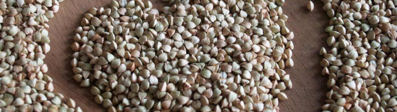 Вартість гречаної крупи в Україні може зрости до 100 грн. за 1 кг