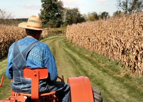 Російські загарбники змушують фермерів перереєструвати бізнес в окупованому Криму