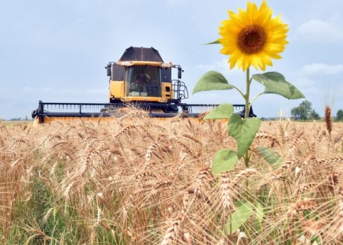Частина нового українського врожаю може залишитись незібраною