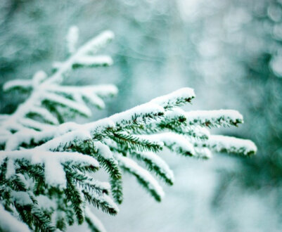 Лунный календарь на январь 2024