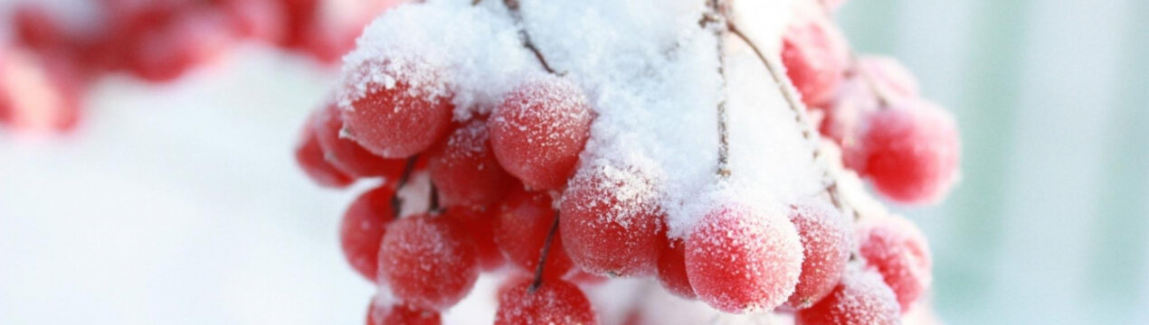 Місячний календар на лютий 2024