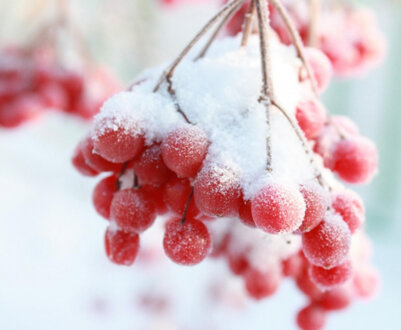 Місячний календар на лютий 2024