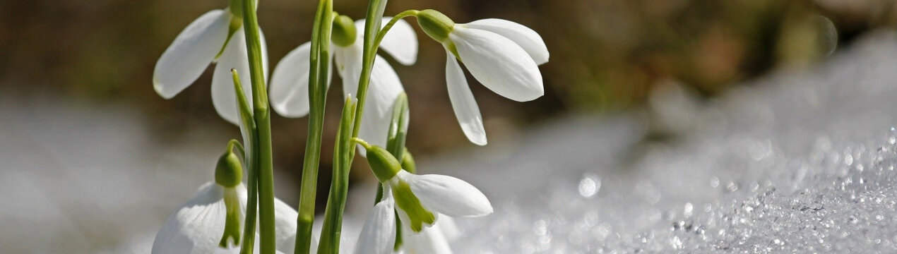 Місячний календар на березень 2024