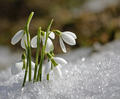 Місячний календар на березень 2024