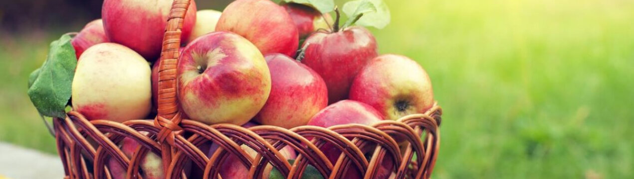 Місячний календар на серпень 2024