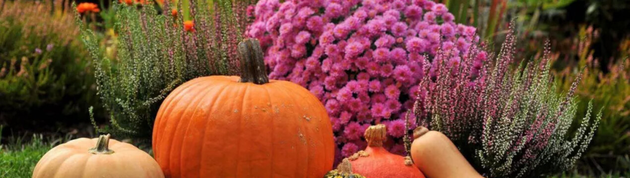 Місячний календар на вересень 2024