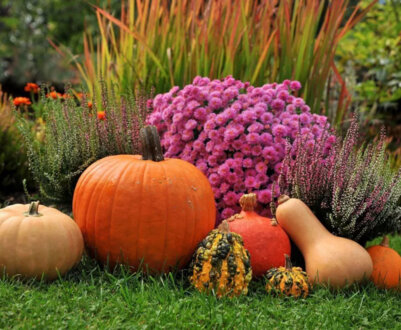 Місячний календар на вересень 2024