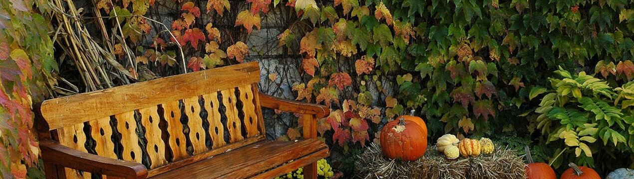 Місячний календар на жовтень 2024