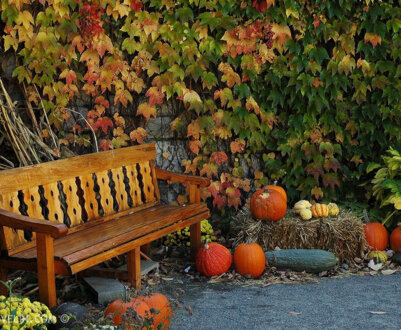 Місячний календар на жовтень 2024