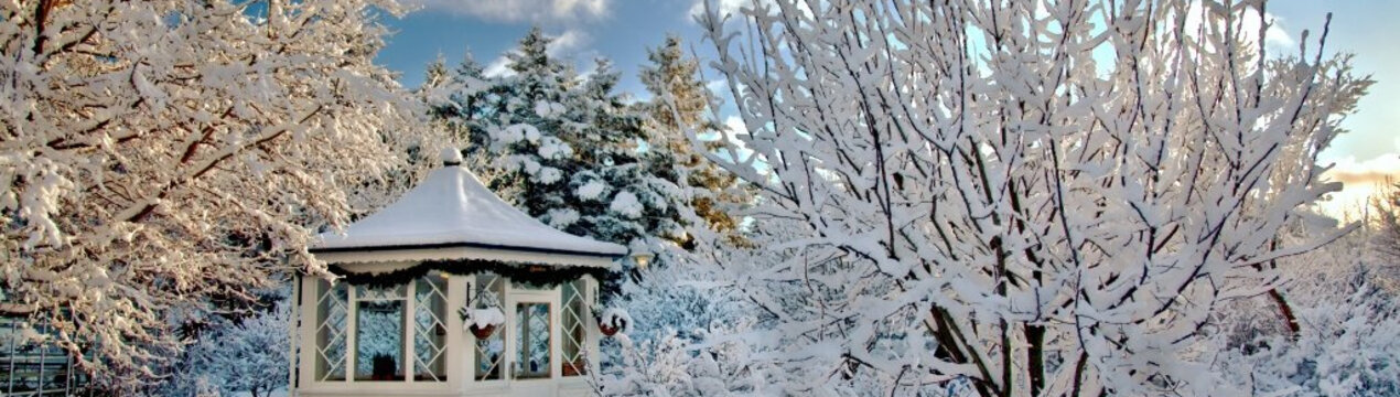 Місячний календар на грудень 2024