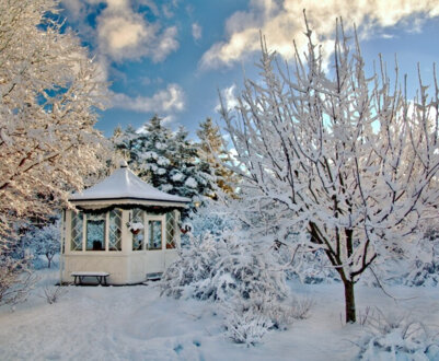 Місячний календар на грудень 2024