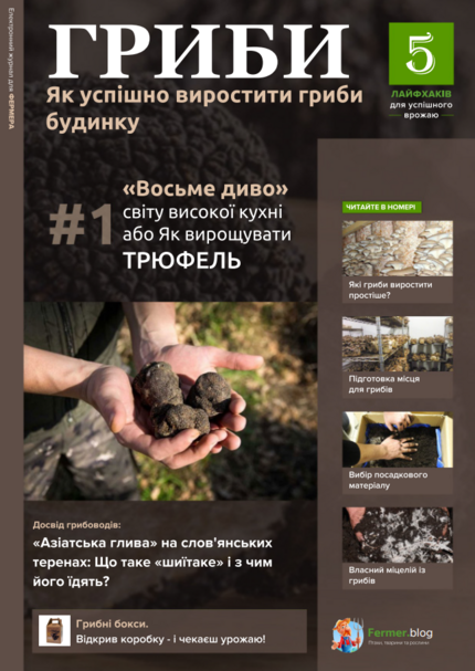 Гриби - як успішно виростити гриби вдома