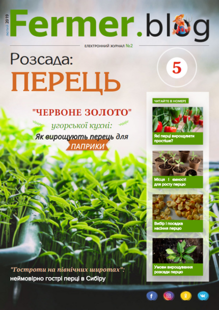 Розсада: ПЕРЕЦЬ