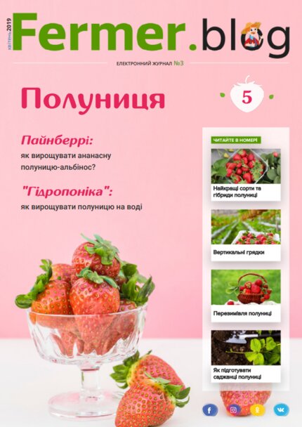 Усі секрети вирощування полуниці