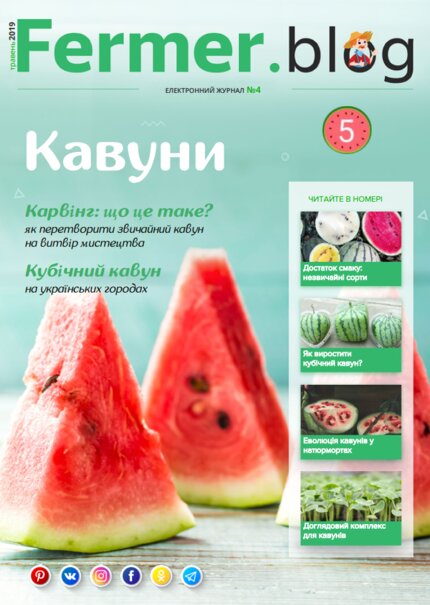 Секрети вирощування кавунів у домашніх умовах