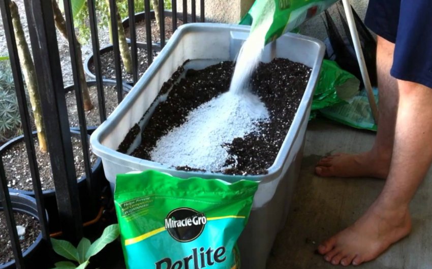 Обробка грунту Обробка грунту