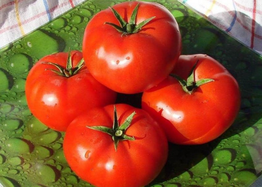 Помідори камея