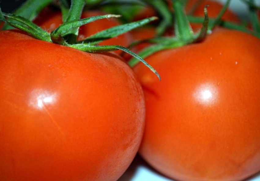 Помідори ермітаж