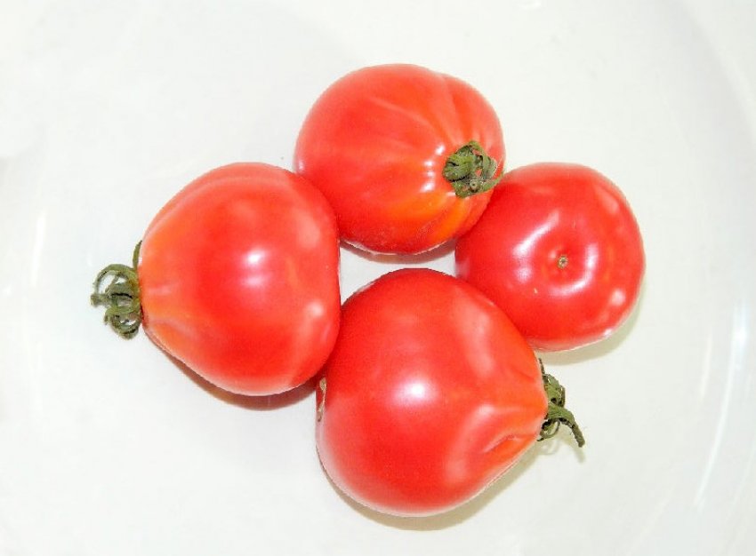 Помідори кримська роза