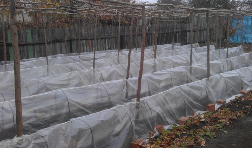 Плівкове укриття Плівкове укриття