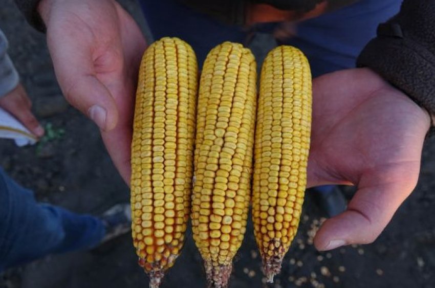 Докучаєвський – 250 МВ