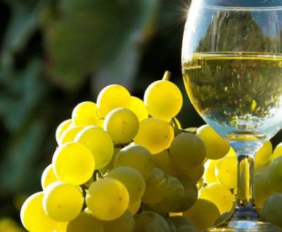 Як правильно приготувати вино з білого винограду