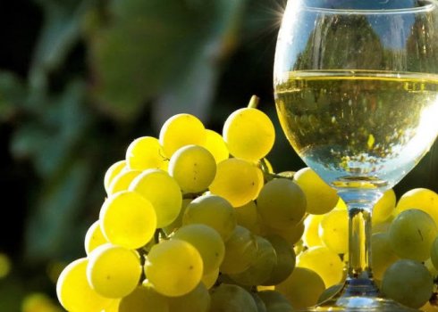 Як правильно приготувати вино з білого винограду
