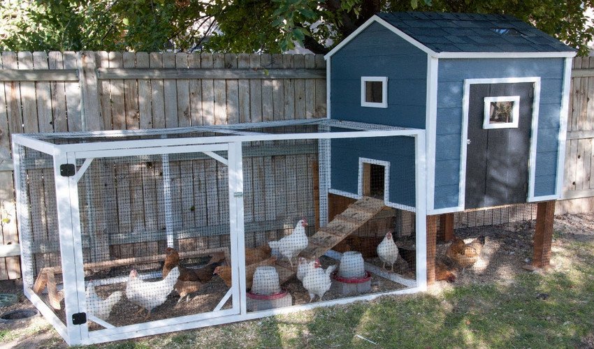 Як побудувати курник