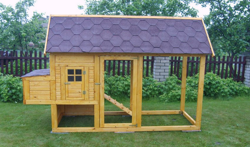 Як побудувати курник