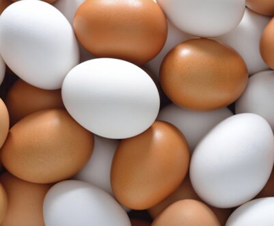 Користь і шкода курячих яєць для організму