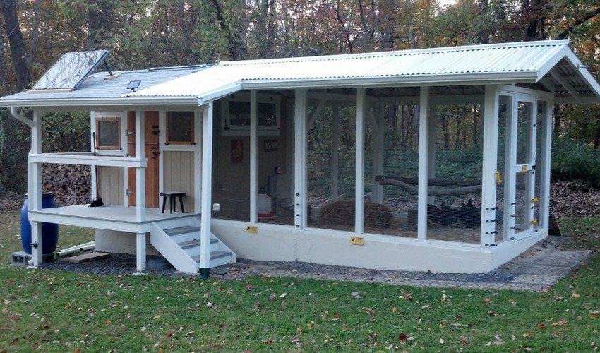 Як побудувати курник