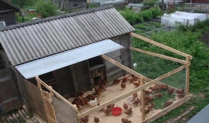 Як побудувати курник