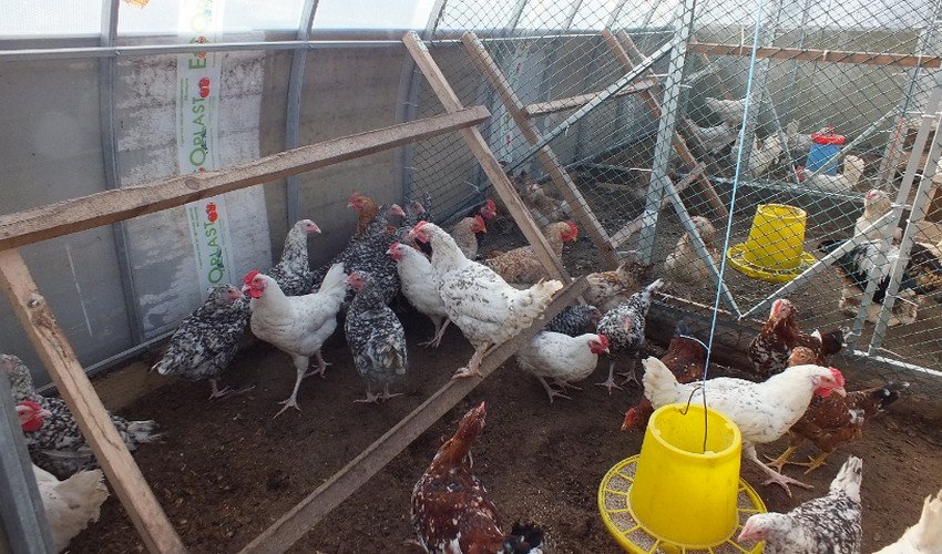 З полікарбонату