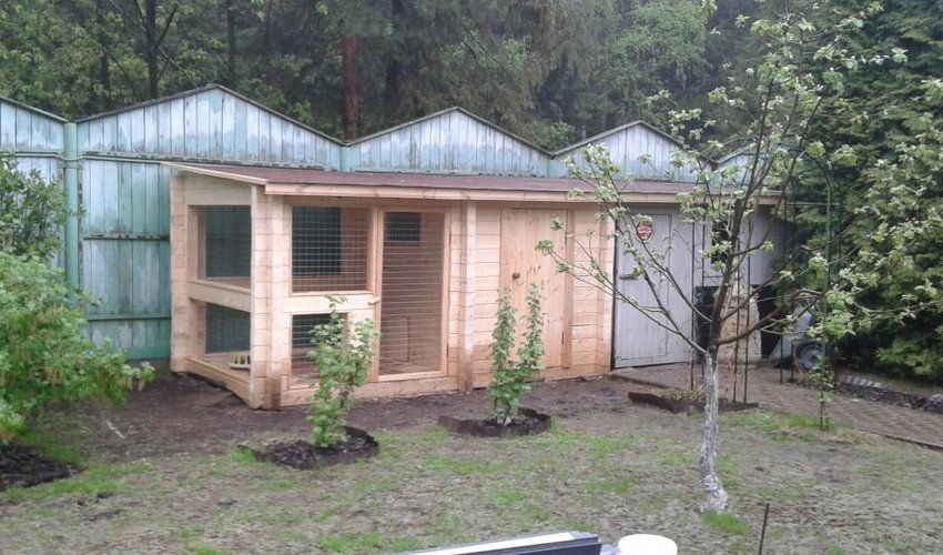 Як побудувати курник